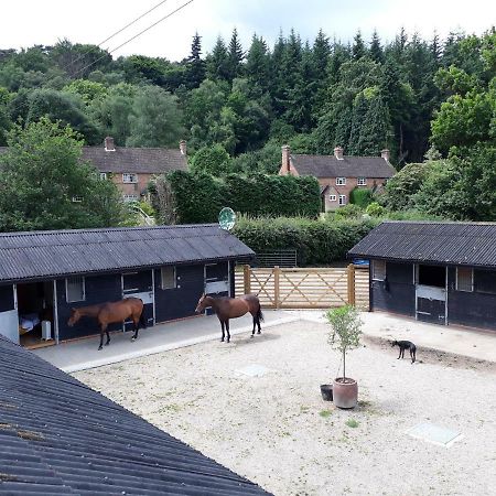 Willa Crockers Farm Dorking Zewnętrze zdjęcie